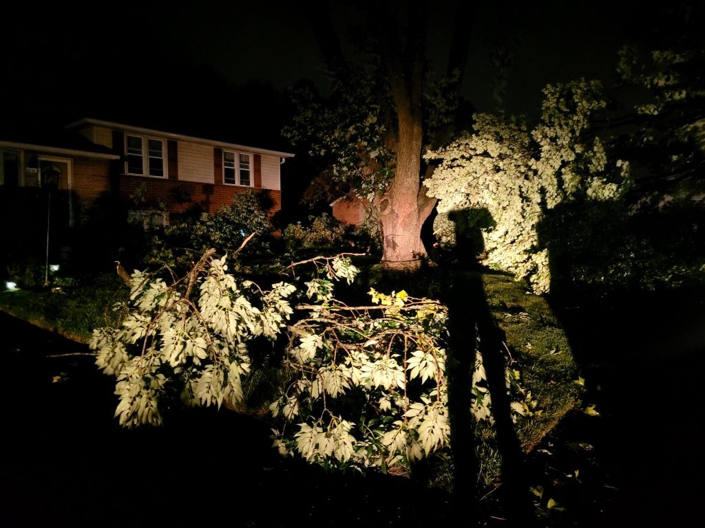 A large tree has fallen in a residential yard at night, blocking part of the area. The house visible in the background appears undamaged. Bright lights illuminate the fallen branches and leaves, casting shadows on the ground.