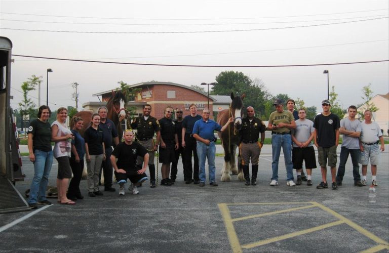 A group of people and two horses stand in a parking lot. The group includes individuals in police uniforms, casual attire, and military gear. A partially visible building and trees are in the background. It's daytime.