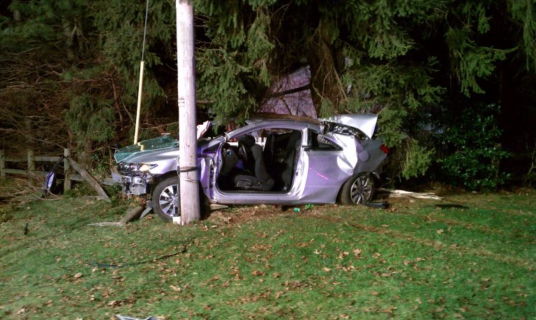 A car with significant front-end damage is crashed against a utility pole on a grassy area. The vehicle's doors are open, and there are surrounding trees in the background. Debris is scattered around the scene.